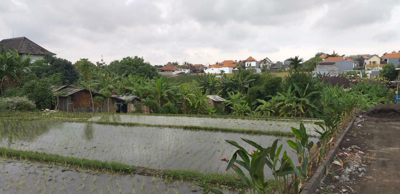 Pd Bali Guesthouse Canggu Exterior foto