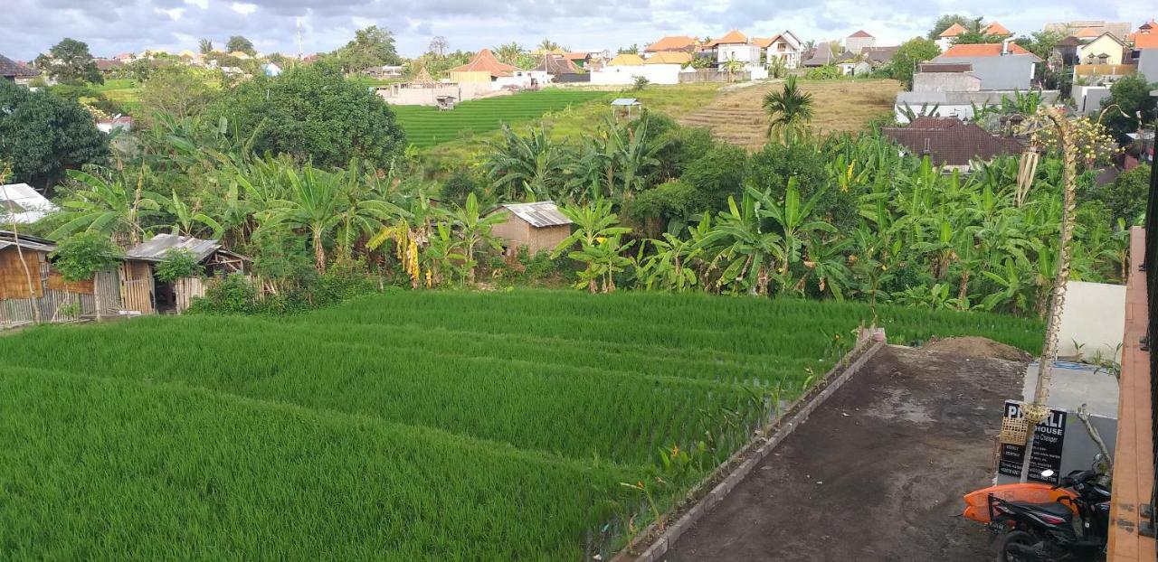 Pd Bali Guesthouse Canggu Exterior foto